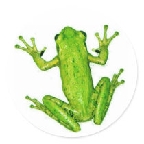 Frog Tropical Rainforest Tree Frog Sticker Art
