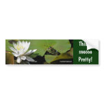 Frog Water Lily Affirmations Nature Bumper Sticker