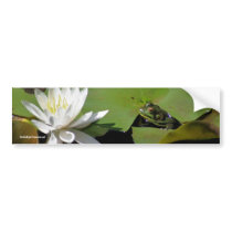 Frog Water Lily Flower Photo Bumper Sticker bumper stickers