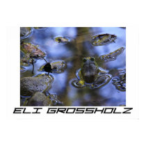 Frog Waters posters