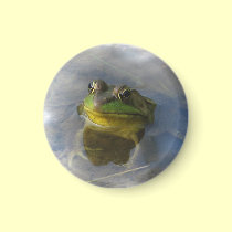 Frog with Attitude magnets