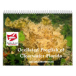 Frogfish 2012 Calendar