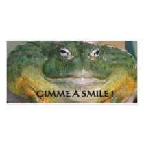 FROGGIE PHOTO CARDS
