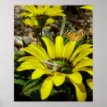 Froggy Flowerbed Print
