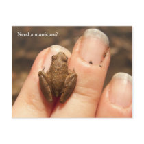 Froggy Hand postcards