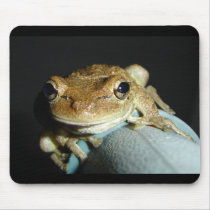Froggy little friend mousepads