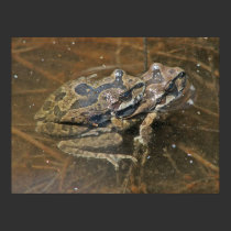 Froggy Love posters