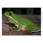 Froggy's best side greeting card
