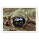 frogi cards by blacqbook frogi cards