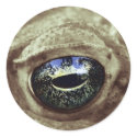 frogi stickers by blacqbook frogi stickers