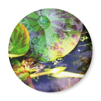 Froglodite magnet