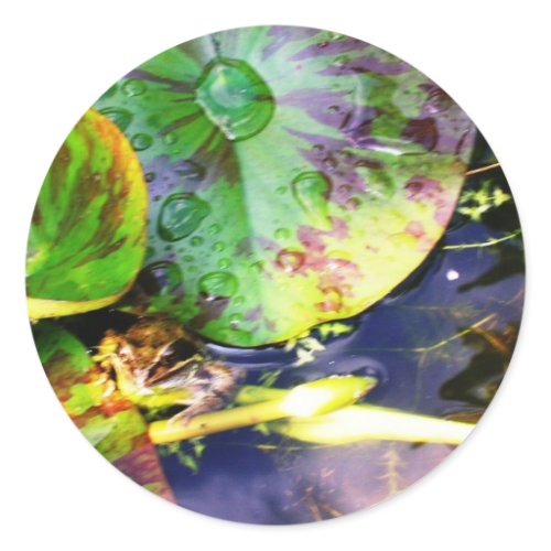 Froglodite sticker