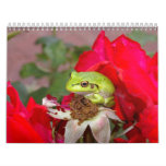 Frogs 2009