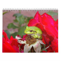 Frogs 2009 calendars by SallyLakeman Frogs 2009 calendars