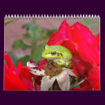 Frogs 2009