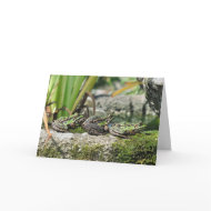 frogs birthday card card