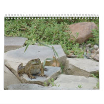 Frogs calendars by ladyfirebird93 Frogs calendars