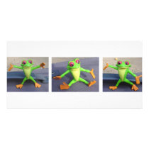FROGS DOLLS TOYS photo cards