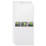 FROGS DOLLS TOYS RACK CARD TEMPLATE