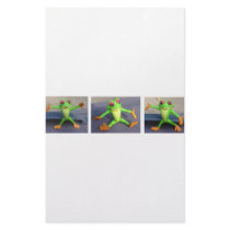 FROGS DOLLS TOYS STATIONERY
