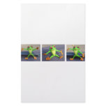 FROGS DOLLS TOYS STATIONERY