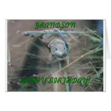 Frogs, Grandson Birthday Greeting Cards