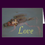 Frogs In Love