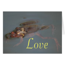 Frogs In Love cards by wolfmountainstudio Frogs In Love cards