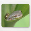 Frogs Mousepad