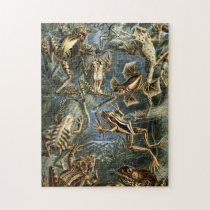 Frogs puzzles