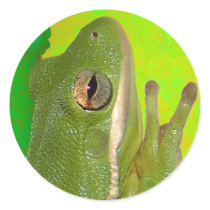 frogs stickers
