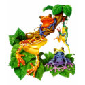 FROGS t-shirts by chysshirts FROGS t-shirts