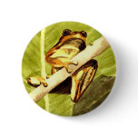 Frog's View Button