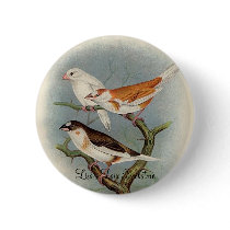 Frohawk - Bengalese Finches buttons
