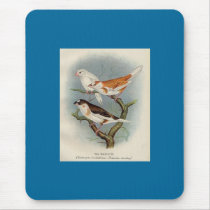 Frohawk - Bengalese Finches mousepads