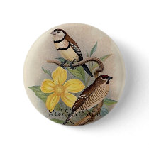 Frohawk - Bicheno's Finch & Cherry Finch buttons