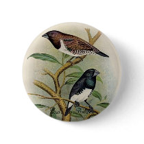 Frohawk - Bronze Mannikin & Two-Coloured Mannikin buttons