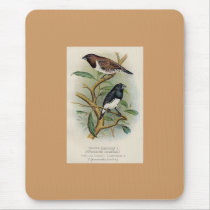 Frohawk - Bronze Mannikin & Two-Coloured Mannikin mousepads