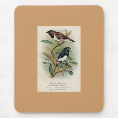 Frohawk - Bronze Mannikin & Two-Coloured Mannikin Mouse Pad by LisasLair