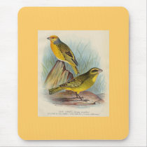 Frohawk - Cape Canary & Sulpher-Crested Seed-Eater mousepads by LisasLair Frohawk - Cape Canary & Sulpher-Crested Seed-Eater mousepads