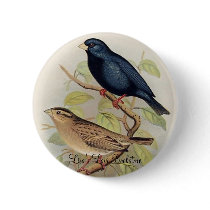 Frohawk - Combasou buttons
