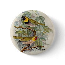 Frohawk - Melodius or Cuban Finch buttons by LisasLair Frohawk - Melodius or Cuban Finch buttons
