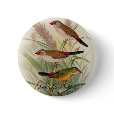 Frohawk - Orange-Cheeked Waxbill & Zebra Waxbill Pinback Button by LisasLair