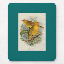 Frohawk - Saffron Finch mousepads by LisasLair Frohawk - Saffron Finch mousepads