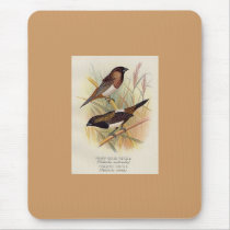 Frohawk - Sharp-Tailed Finch & Striated Finch mousepads by LisasLair Frohawk - Sharp-Tailed Finch & Striated Finch mousepads