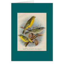 Frohawk - St. Helena Waxbill & Green Singing Finch cards