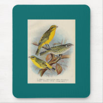 Frohawk - St. Helena Waxbill & Green Singing Finch mousepads