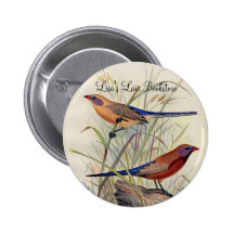 Frohawk - Violet-Eared Waxbill Button