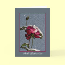 Frohe Weihnachten cards by Rainmountain Frohe Weihnachten cards