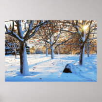Frolic - Rancho San Rafael Regional Park, Reno Nev Posters